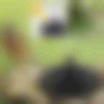 Dai vita al tuo giardino con la magia della fontana solare | FONTANA