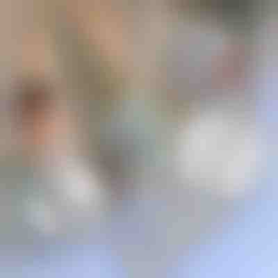 Nastro di riparazione per zanzariere | INSECTAPE