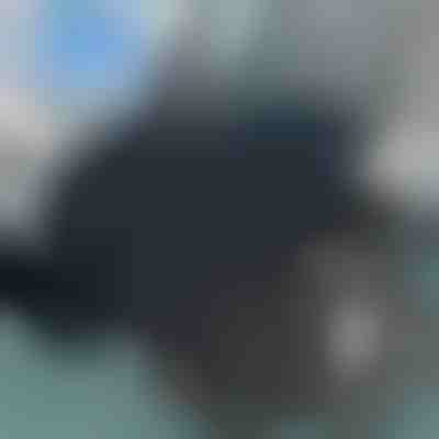 Cuscino girevole a 360° per sedile auto | SPINPAD