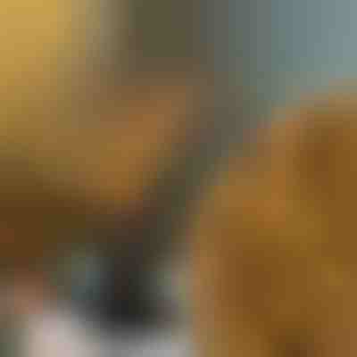 Luci a forma di rami | BRANCHLUMOS