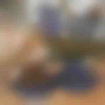 Ciotola per animali domestici pieghevole 2 in 1 per cibo e acqua | WOOFDISH