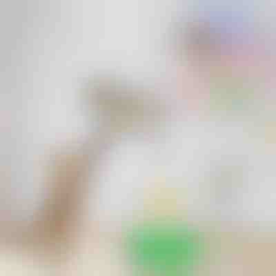 Giocattolo elettrico per gatti che imita gli uccelli | BIRDIETOY