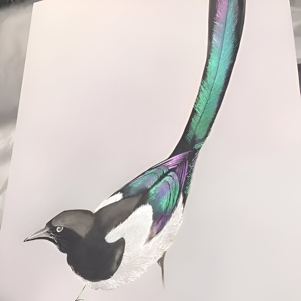 COLORLINKE