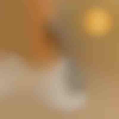 Ausilio per calzare senza piegarsi | SHOEVA