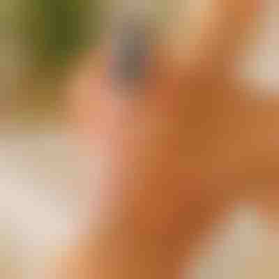 Piedi lisci e morbidi | PEDIVIA